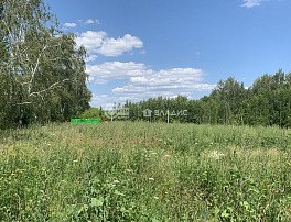 Участок 6 сотка