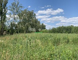 Участок 8 сотка