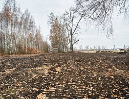 Участок 8 сотка