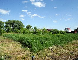 Участок 16 сотка