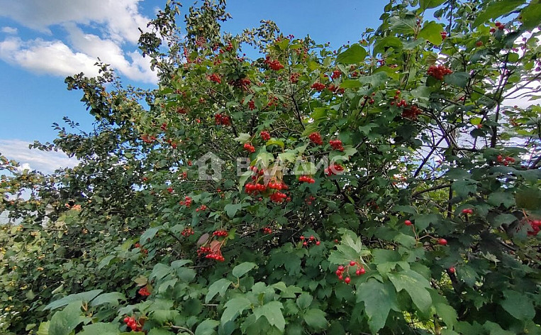 Земельный участок 6.00 соток, фото 20