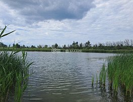 коммерческая