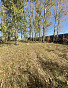 Земельный участок 15.00 соток, фото 5