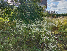 Земельный участок 6.00 соток