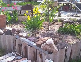 Участок 5 сотка
