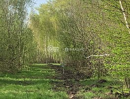 Участок 6 сотка