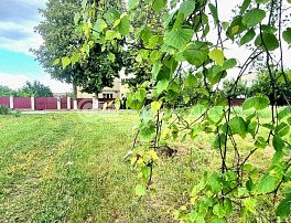 Участок 12 сотка