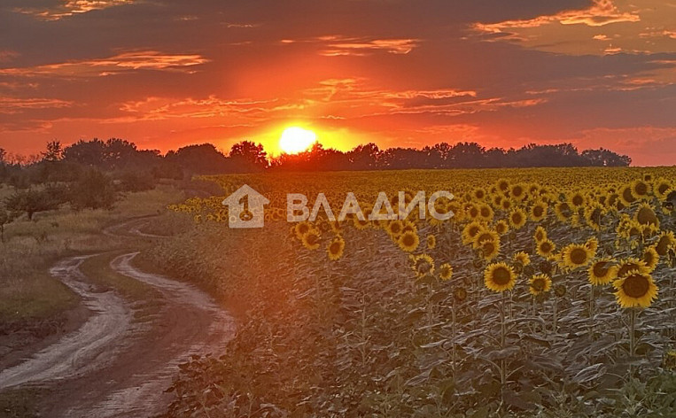 Дом 44.70м², фото 26
