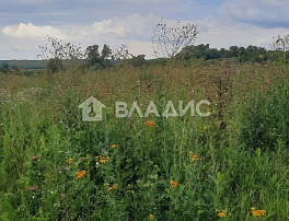 Земельный участок 6.00 соток