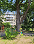 2-Комнатная квартира 46.90м², эт. 3, фото 20
