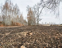 Участок 6 сотка