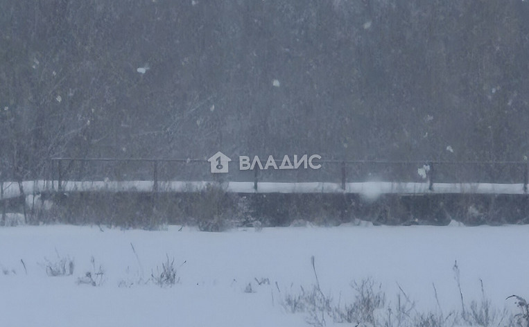 Земельный участок 245.36 соток, фото 3