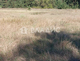 Земельный участок 20.00 соток