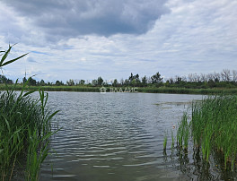 Земельный участок 1064.00 соток