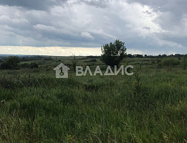 Земельный участок 1145.60 соток