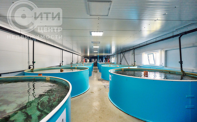 Коммерческое помещение 4422.40м², эт. 1, фото 34