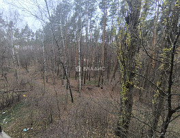 2-Комнатная квартира 52.90м²