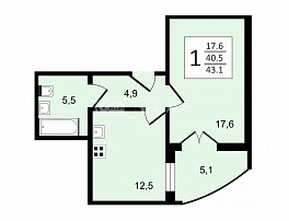 1-комнатная квартира, 43.1 м2