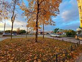 1-Комнатная квартира 50.10м²