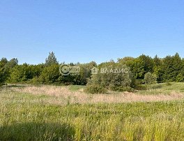 Участок 10 сотка