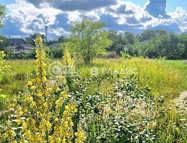 Участок 8.5 сотка