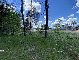 Участок 9.6 сотка