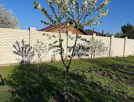 коммерческая