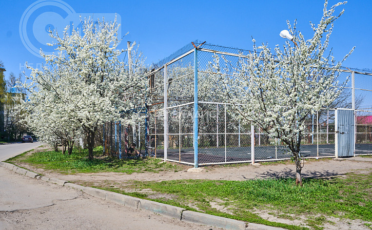 3-Комнатная квартира 78.20м², эт. 4, фото 15