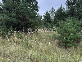 Земельный участок 44.50 соток