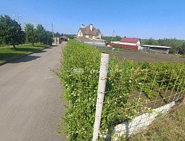Участок 6 сотка