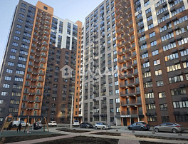 Студия 19.60м²
