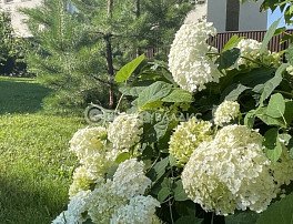 Дом, 326.4 м2, 13 сотка