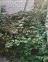 Часть дома, комнат 2, 36 кв.м, id: 827254, фото 7