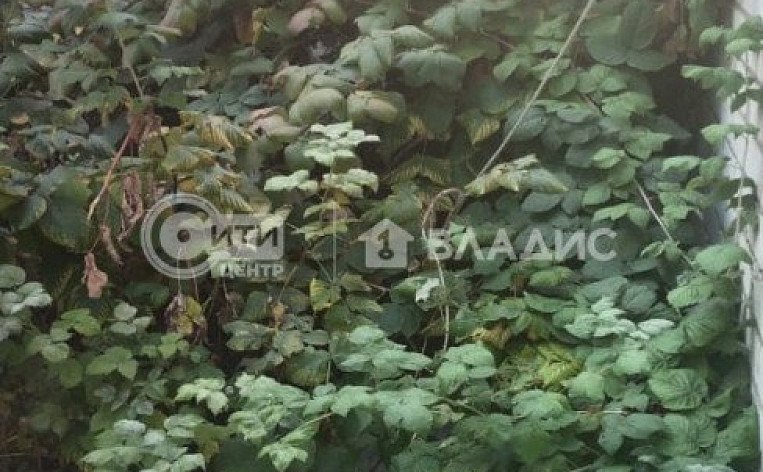 Часть дома, комнат 2, 36 кв.м, id: 827254, фото 22
