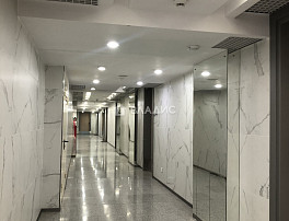Студия 32.53м²