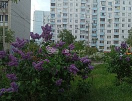 2-комнатная квартира, 50.3 м2