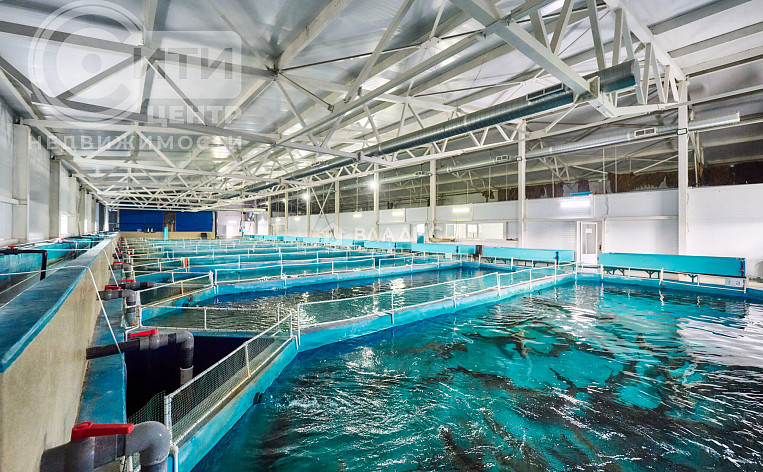 Коммерческое помещение 4422.40м², эт. 1, фото 34