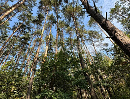 Земельный участок 10.50 соток