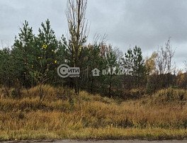 Участок 8 сотка