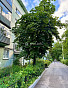 1-Комнатная квартира 29.00м², эт. 5, фото 9