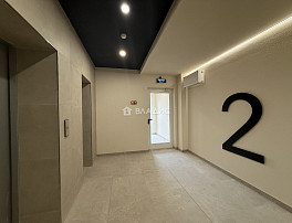 2-Комнатная квартира 66.60м²