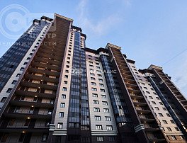 1-комнатная квартира, 48.13 м2