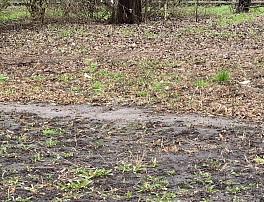 Земельный участок 8.00 соток