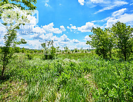 Земельный участок 290.00 соток