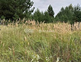 Участок 44.5 сотка