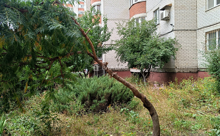 3-Комнатная квартира 96.20м², эт. 1, фото 23