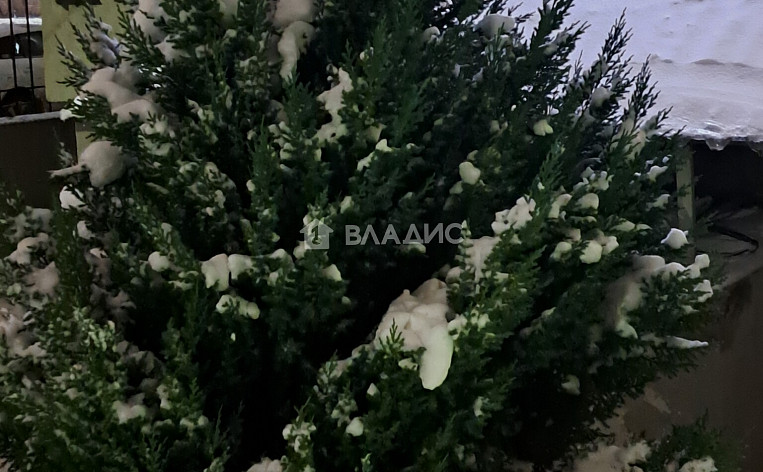 1-Комнатная квартира 45.60м², эт. 11, фото 13