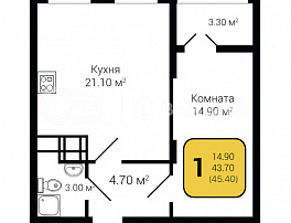 1-комнатная квартира, 45.4 м2