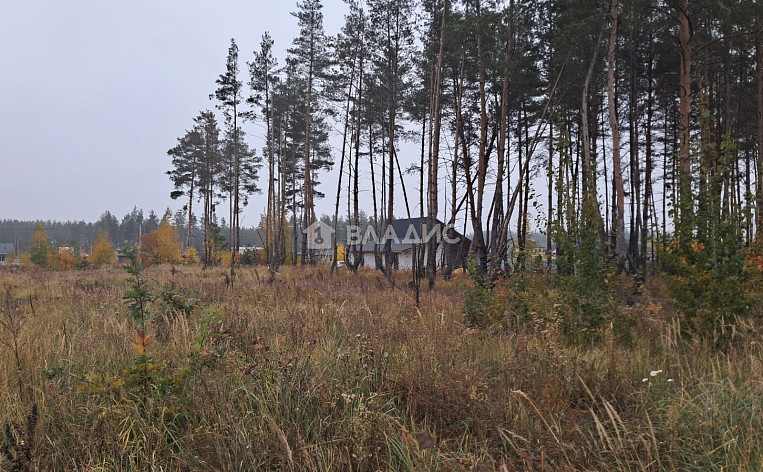 Земельный участок 8.00 соток, фото 5