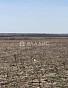 Земельный участок 40.00 соток, фото 2